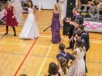 ples zs uhersky-ostroh (300)